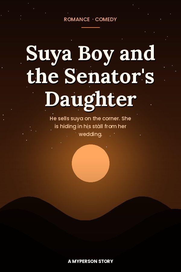 Suya Boy and the Senator's Daughter cover
